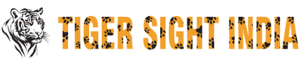 Tiger Sight India